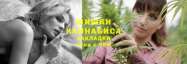 дживик Богородицк