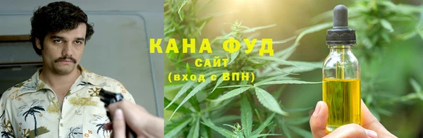 метадон Богданович