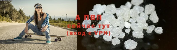 дживик Богородицк
