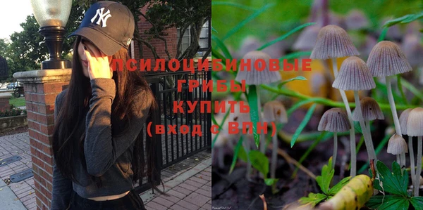 прущие крисы Белоозёрский