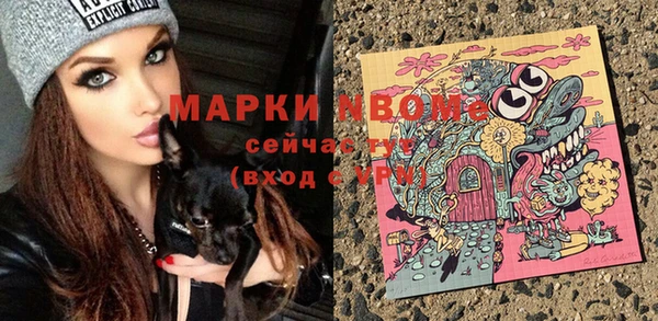 дживик Богородицк