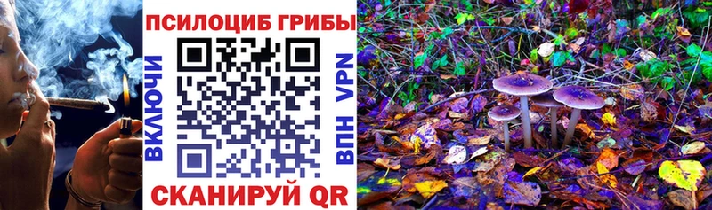 Псилоцибиновые грибы прущие грибы  Кировград 